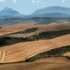 Scuriser la proprit foncire et les revenus agricoles