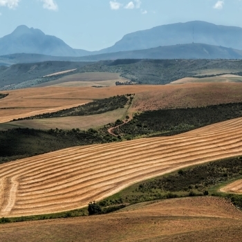 Scuriser la proprit foncire et les revenus agricoles