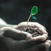 Renforcer les coopratives de petits producteurs