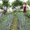 Transformation agro-cologique du territoire 