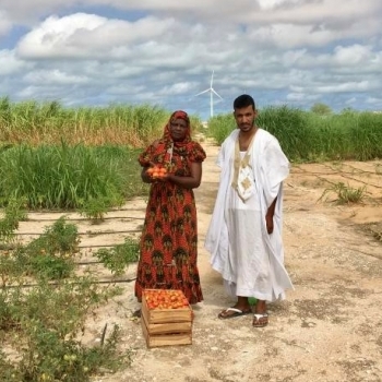 En Mauritanie, un maracher transforme le dsert en jardin