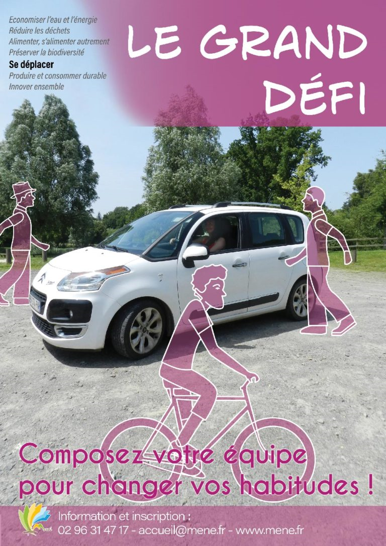 Le gd dfi flyer 2 