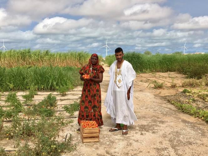 Mauritanie article Pierre Lepidi