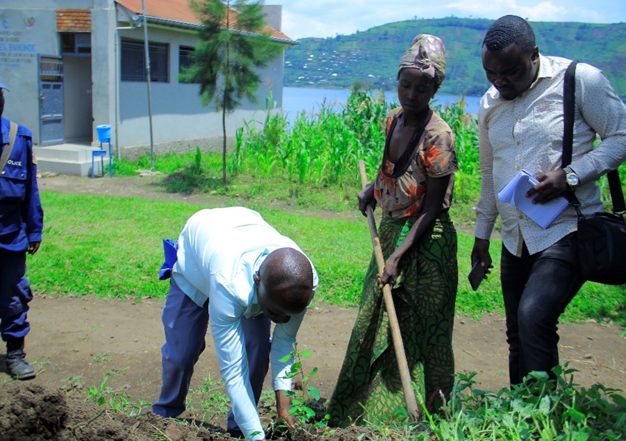 plantation 1ere plantule